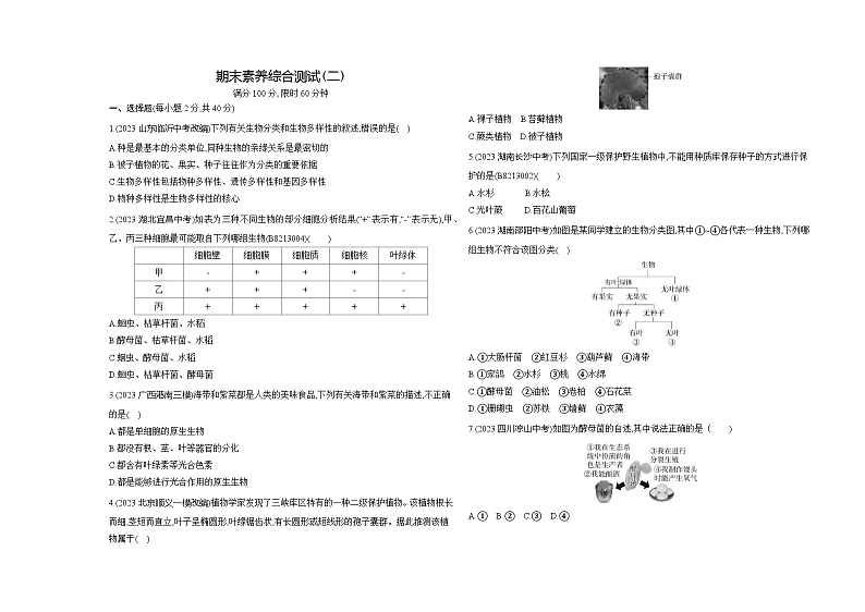 期末素养综合测试（二）--北京版初中生物八年级下册同步练习01