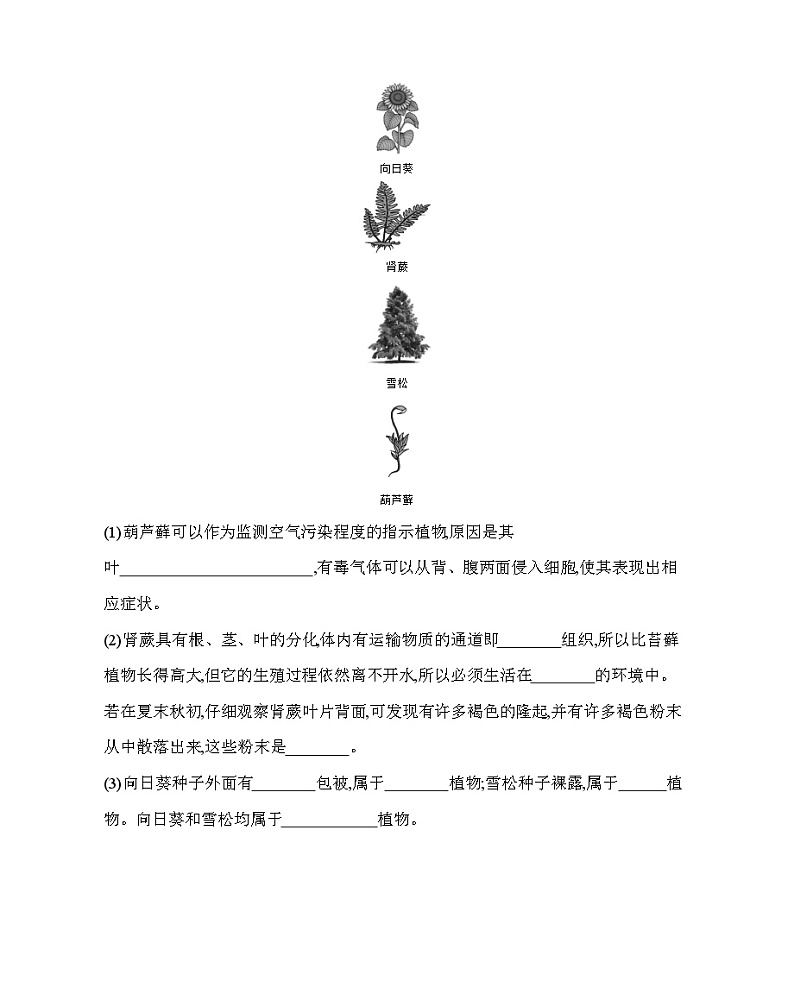 专项素养综合全练（一）植物和动物的主要类群--北京版初中生物八年级下册同步练习03