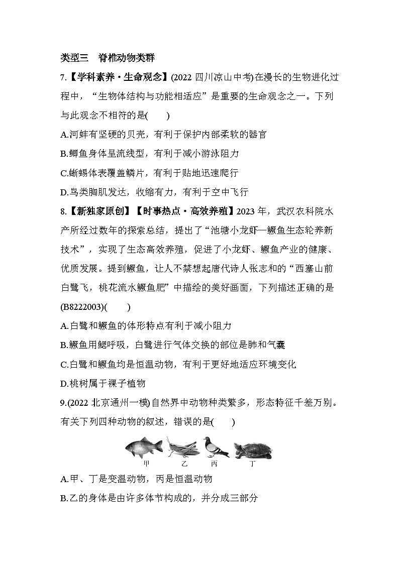 01-专项素养综合全练(一) 生物类群--北师大版初中生物八年级下册同步练习第3页