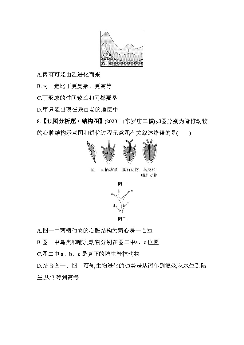 第五单元 生命的演化综合检测--济南版初中生物八年级下册同步练习第3页