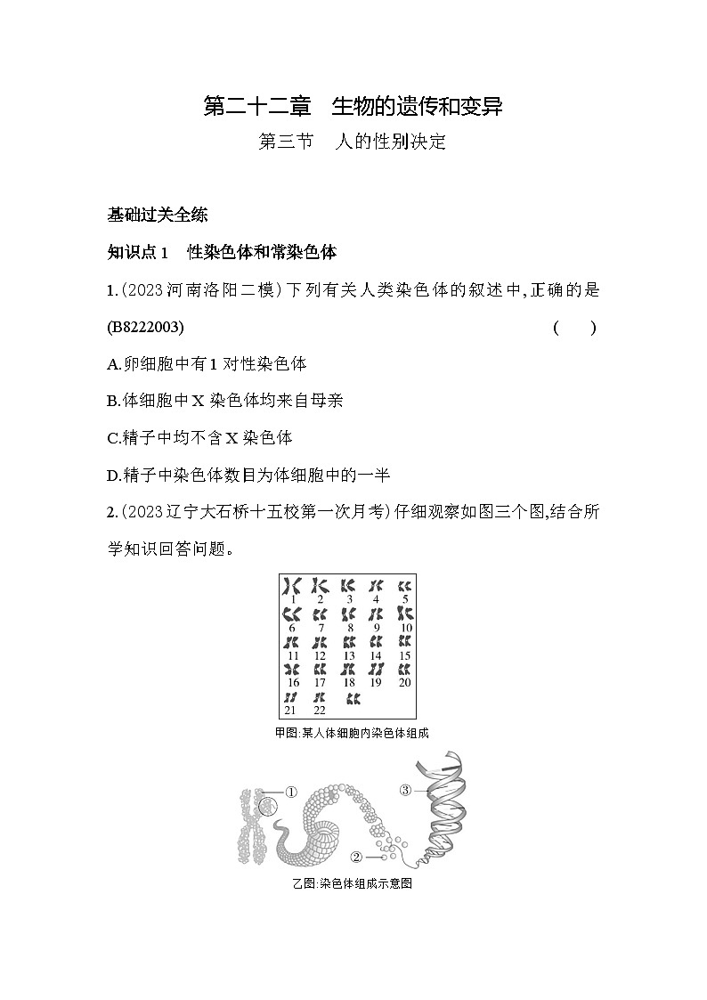 22.3   人的性别决定--苏教版初中生物八年级下册同步练习第1页
