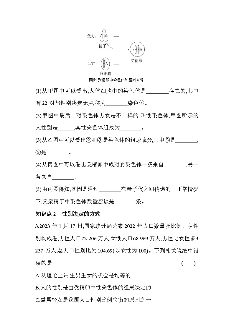 22.3   人的性别决定--苏教版初中生物八年级下册同步练习第2页