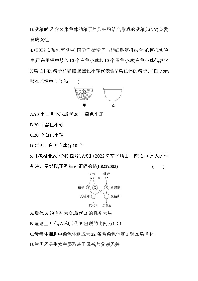 22.3   人的性别决定--苏教版初中生物八年级下册同步练习第3页