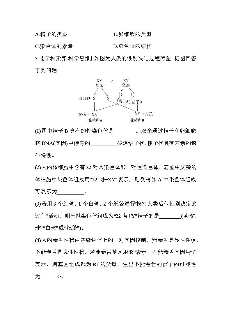 6.21  人的性别决定--冀少版初中生物八年级下册同步练习02
