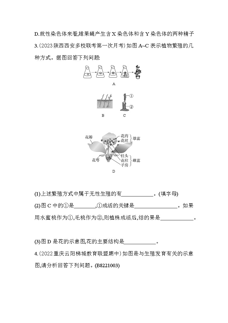 02-专项素养综合全练(二)识图分析--苏教版初中生物八年级下册同步练习02