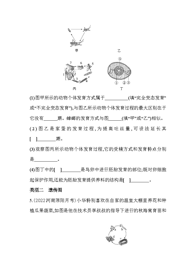 02-专项素养综合全练(二)识图分析--苏教版初中生物八年级下册同步练习03