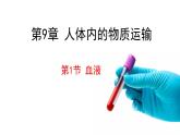 9.1血液课件2023--2024学年北师大版生物七年级下册