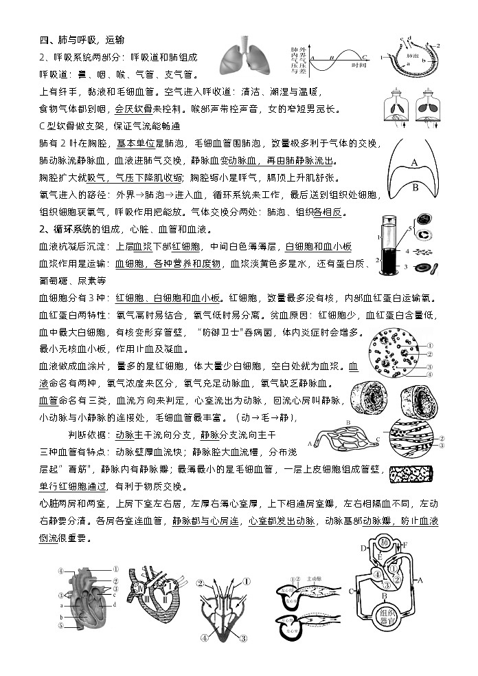 知识点总结2023--2024学年人教版七年级生物下册+02