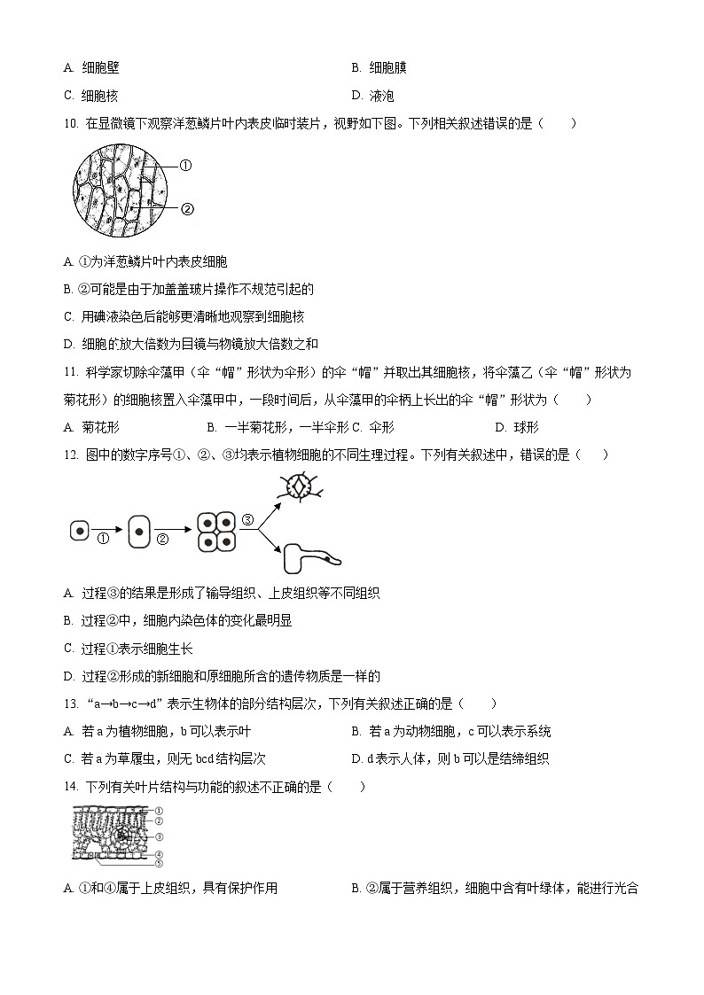 精品解析：广东省揭阳市揭东区2023-2024学年七年级上学期期末生物试题（原卷版）第2页