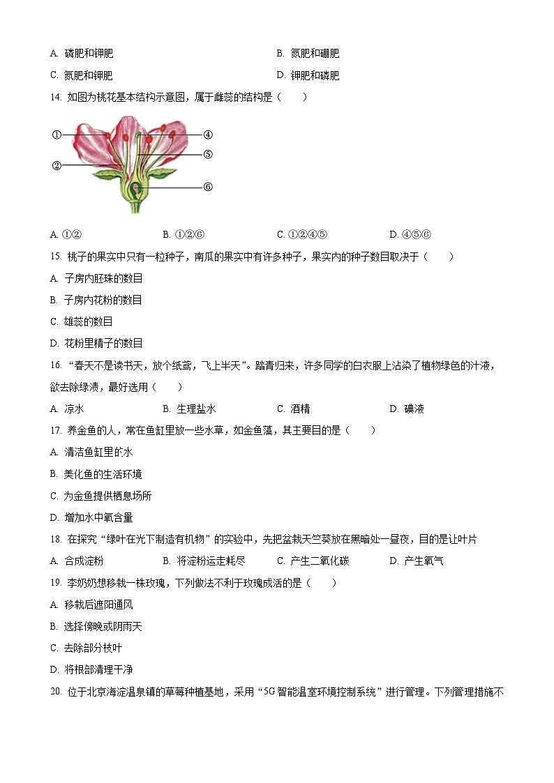 吉林省松原市乾安县2023-2024学年七年级上学期期末生物试题（原卷版+解析版）03