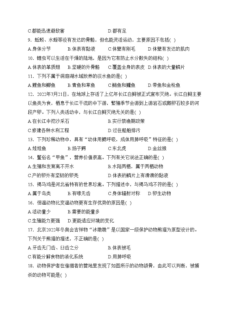河北省沧州市泊头市2023-2024学年七年级上学期期中教学质量检测生物试卷(含答案)第2页