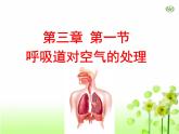 4.3.1呼吸道对空气的处理课件2023--2024学年人教版生物七年级下册