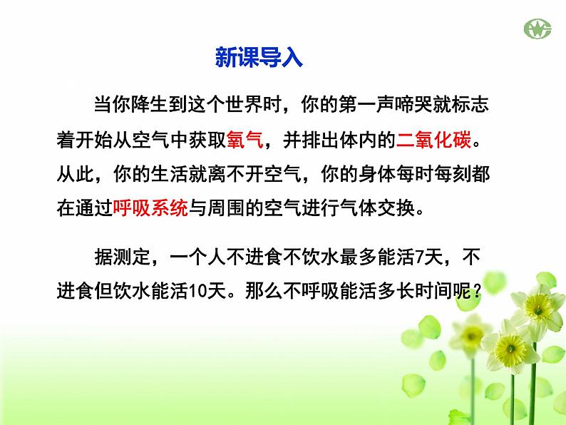 4.3.1呼吸道对空气的处理课件2023--2024学年人教版生物七年级下册第3页