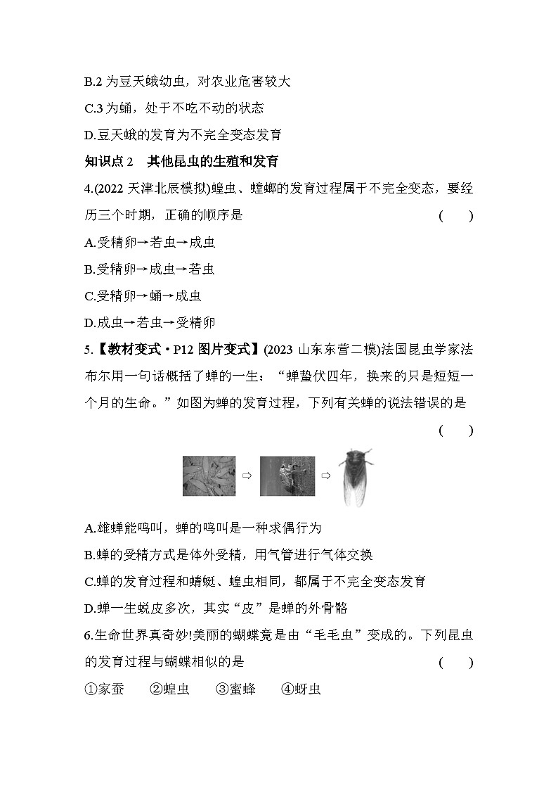 8.12　昆虫的生殖和发育--五四学制鲁科版版初中生物八年级下册同步练习02