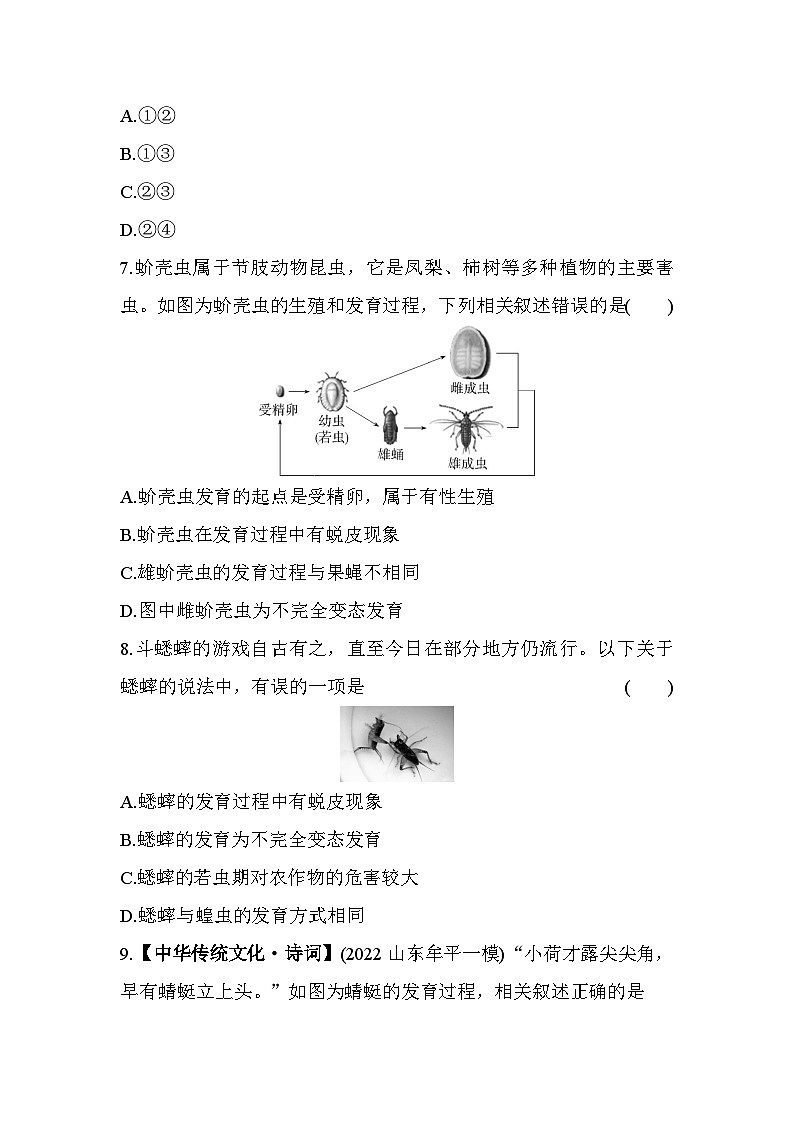 8.12　昆虫的生殖和发育--五四学制鲁科版版初中生物八年级下册同步练习03