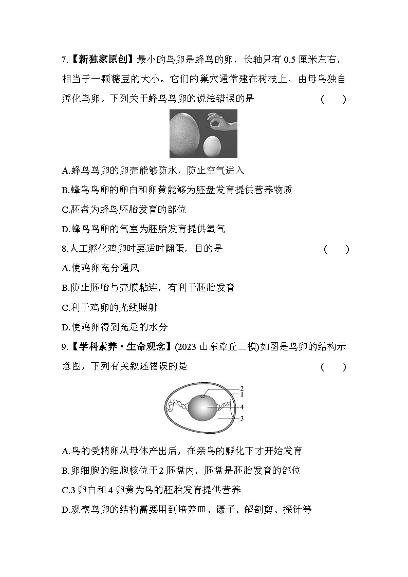 8.13　鸟的生殖和发育--五四学制鲁科版版初中生物八年级下册同步练习03