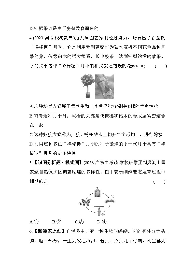 第一章　生物的生殖和发育综合检测--五四学制鲁科版版初中生物八年级下册同步练习第2页