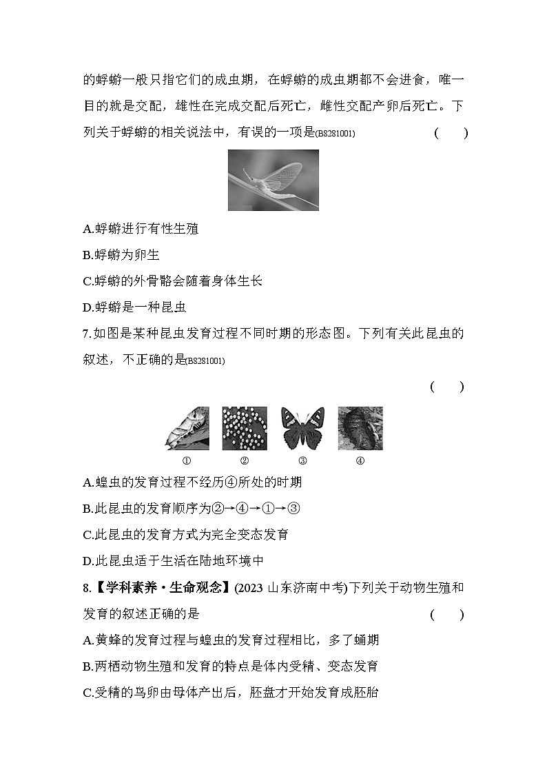 第一章　生物的生殖和发育综合检测--五四学制鲁科版版初中生物八年级下册同步练习第3页