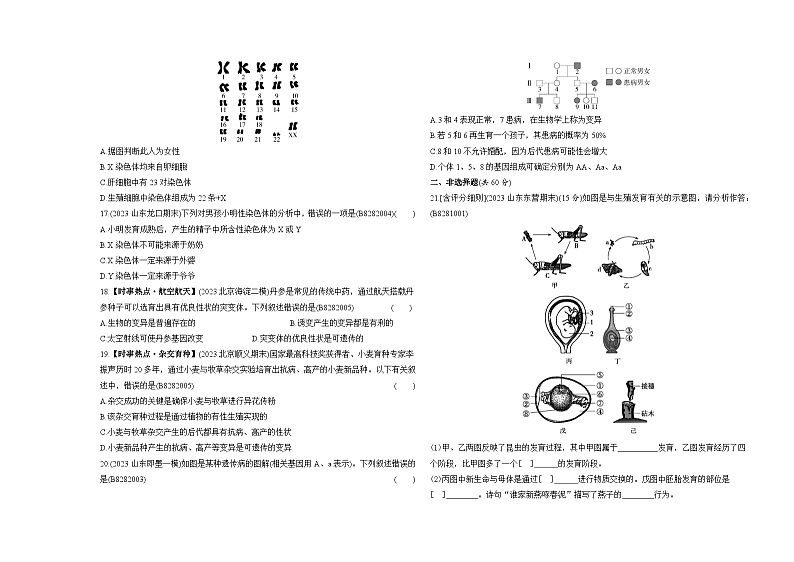 期中素养综合测试--五四学制鲁科版版初中生物八年级下册同步练习第3页