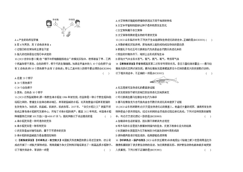 期末素养综合测试(一)--五四学制鲁科版版初中生物八年级下册同步练习第2页