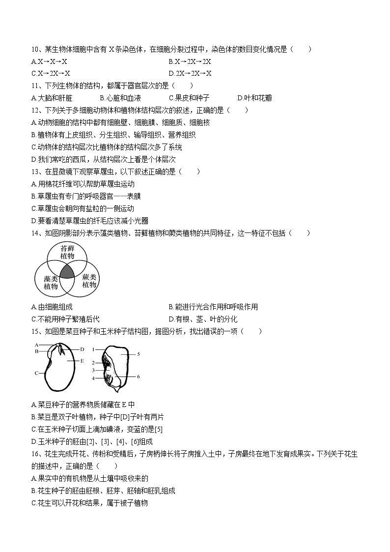 陕西省宝鸡市渭滨区2023-2024学年七年级上学期期末生物试题02