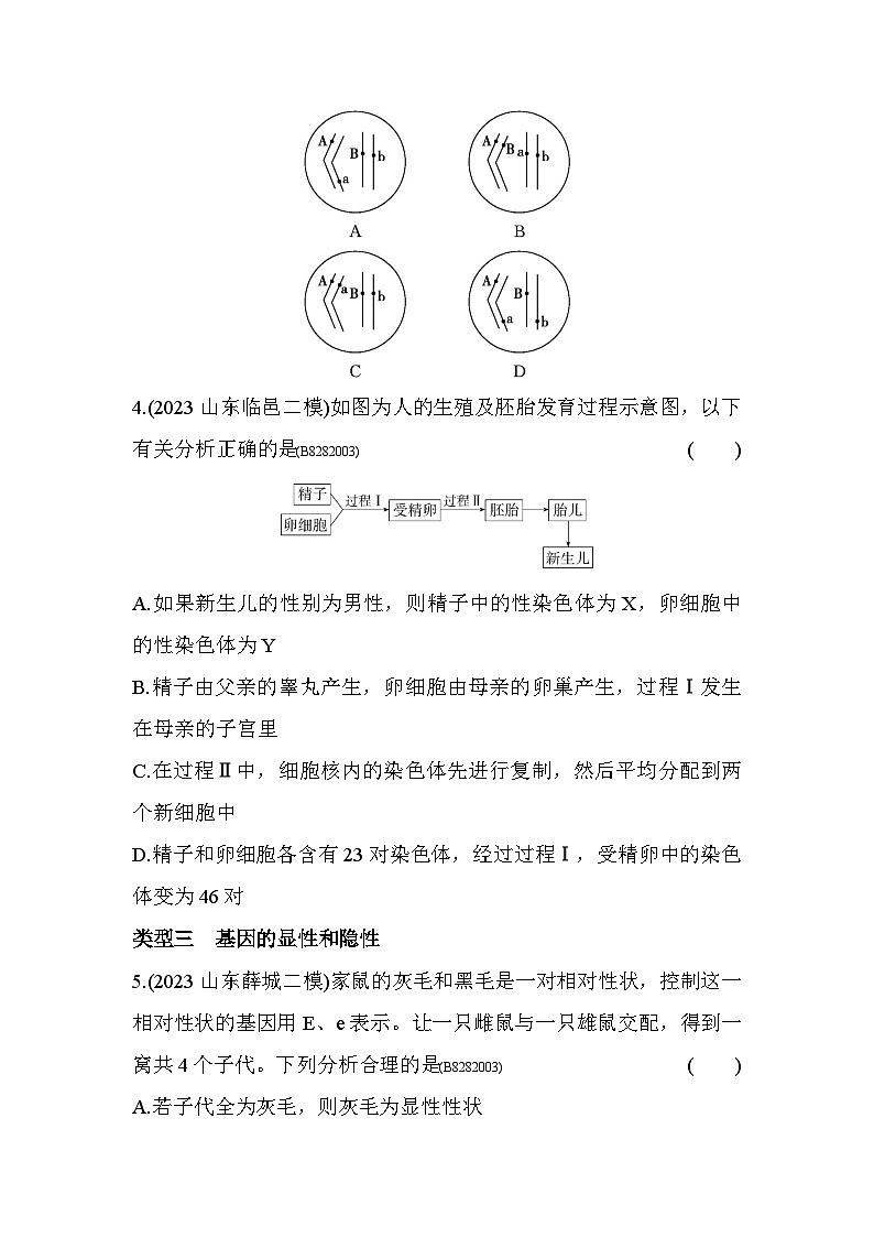 02-专项素养综合全练(二)  基因在亲子代间的传递--五四学制鲁科版版初中生物八年级下册同步练习02