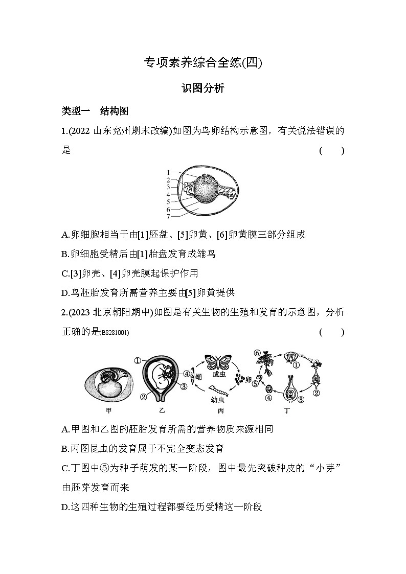 04-专项素养综合全练(四)  识图分析--五四学制鲁科版版初中生物八年级下册同步练习01
