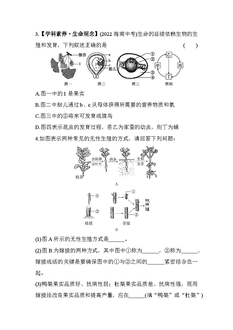 04-专项素养综合全练(四)  识图分析--五四学制鲁科版版初中生物八年级下册同步练习02