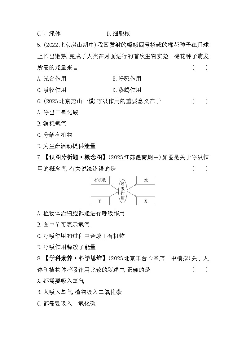 6.4　呼吸与呼吸作用--北京课改版初中生物七年级下册同步练习02