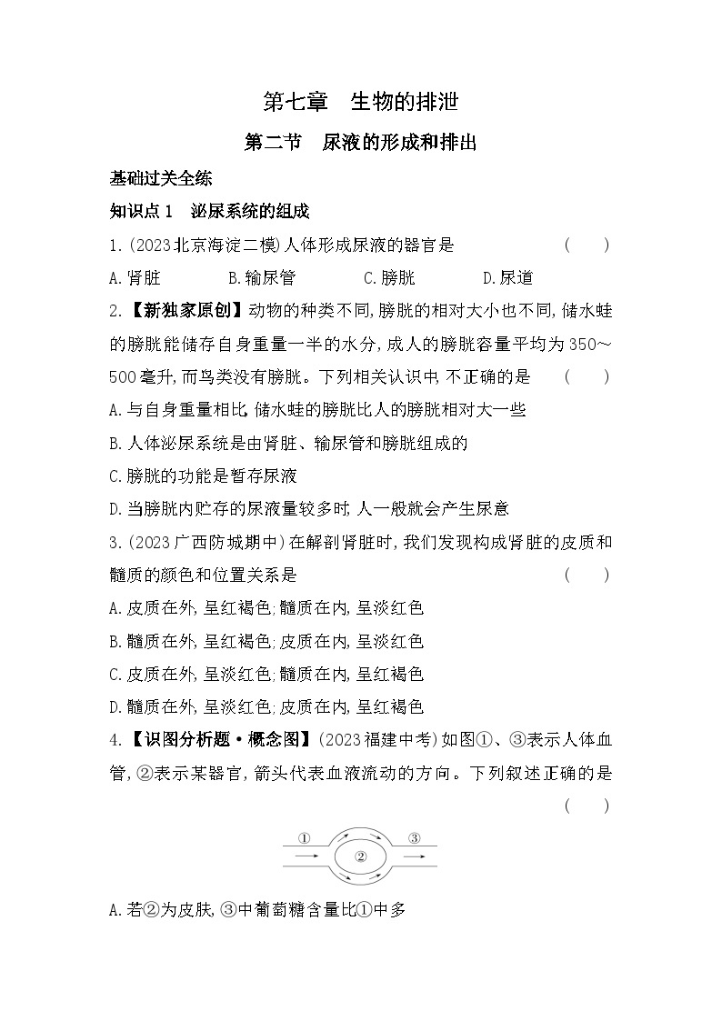 7.2　尿液的形成和排出--北京课改版初中生物七年级下册同步练习01