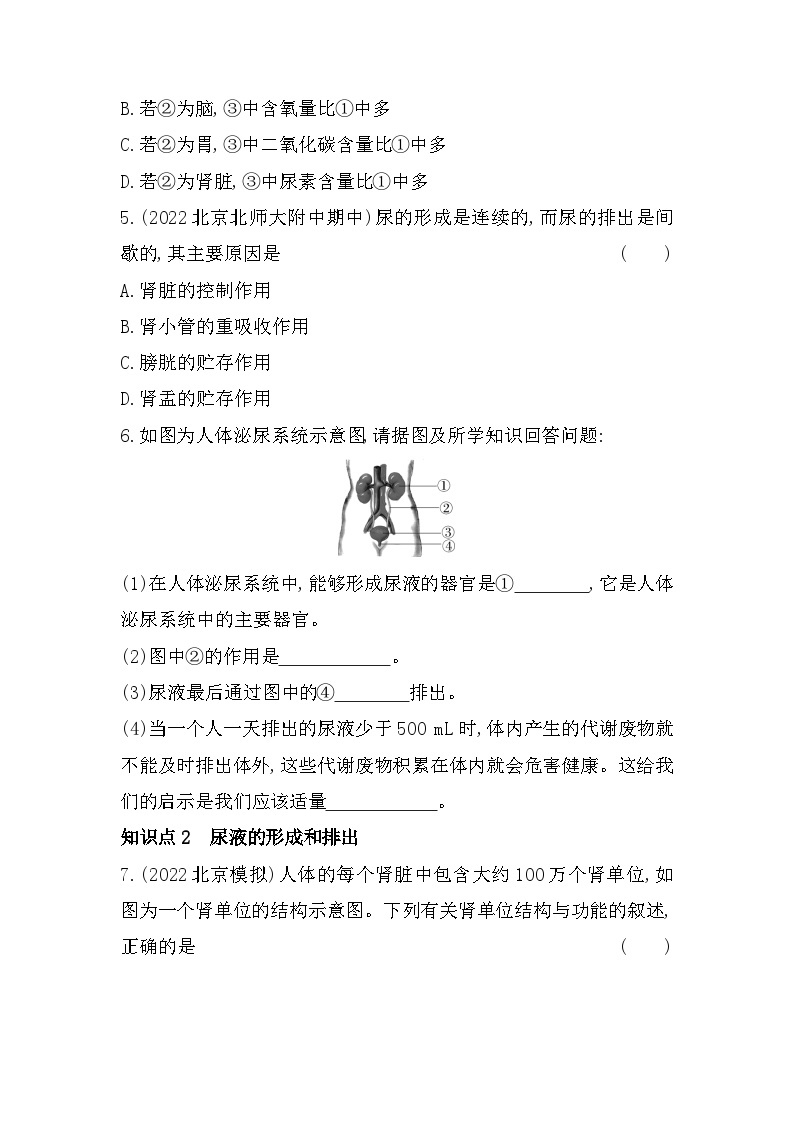 7.2　尿液的形成和排出--北京课改版初中生物七年级下册同步练习02