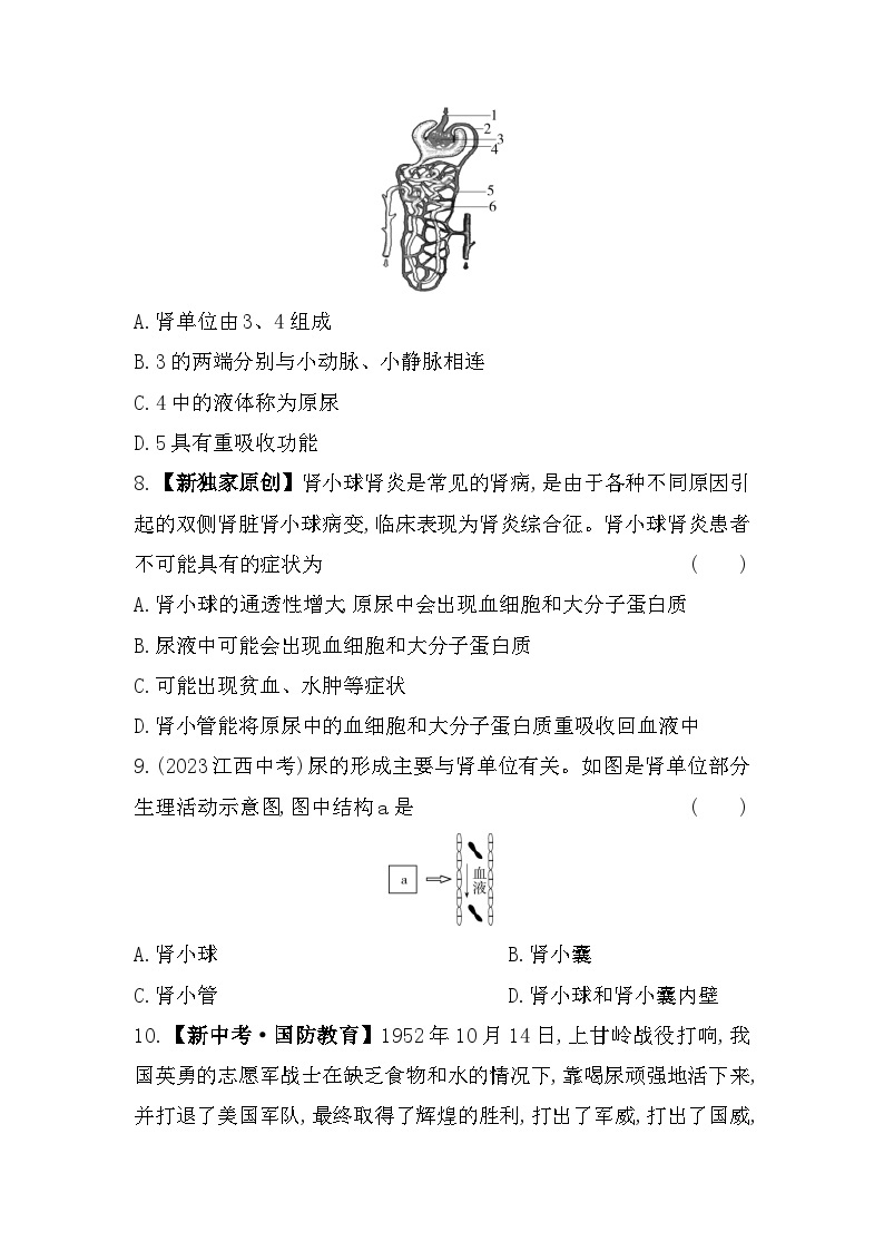 7.2　尿液的形成和排出--北京课改版初中生物七年级下册同步练习03