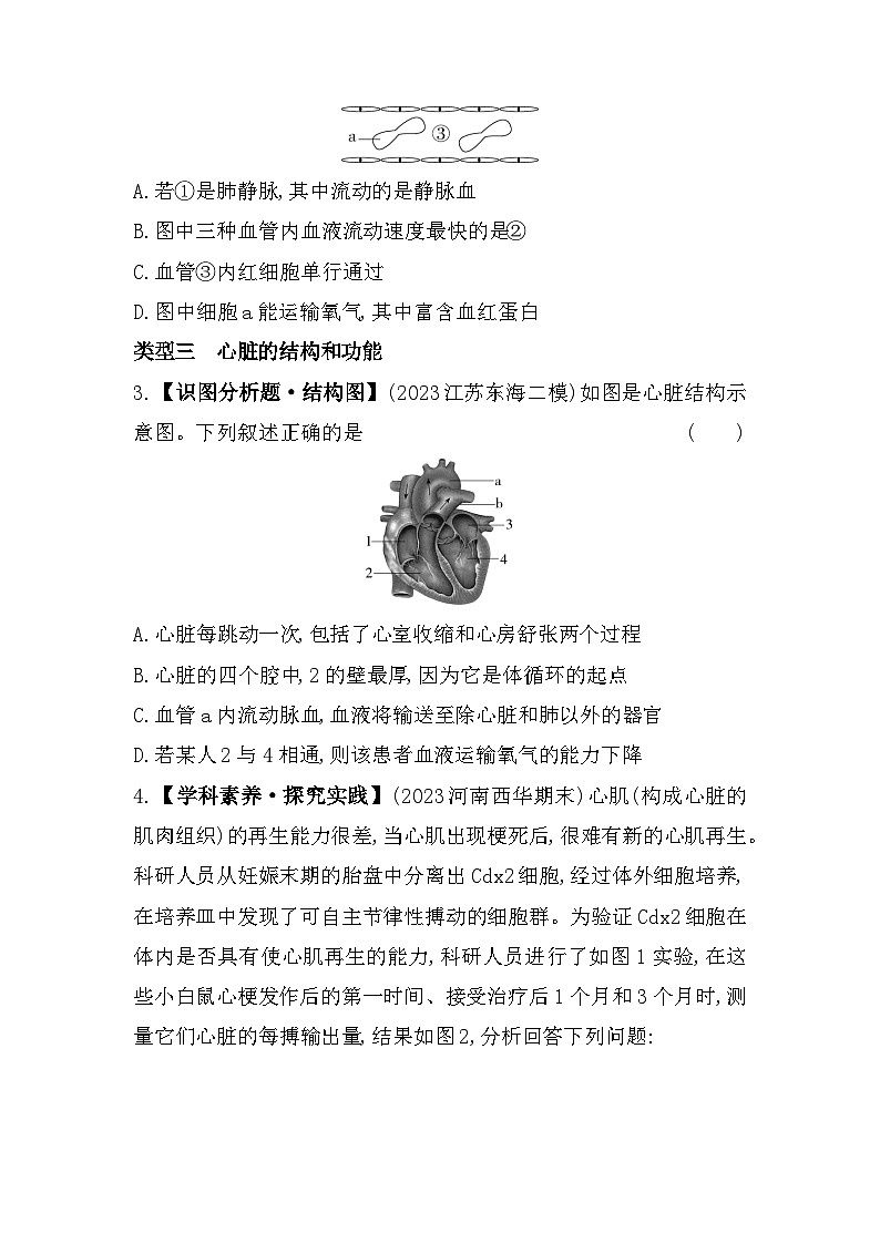 01-专项素养综合全练  人体内的物质运输--北京课改版初中生物七年级下册同步练习02