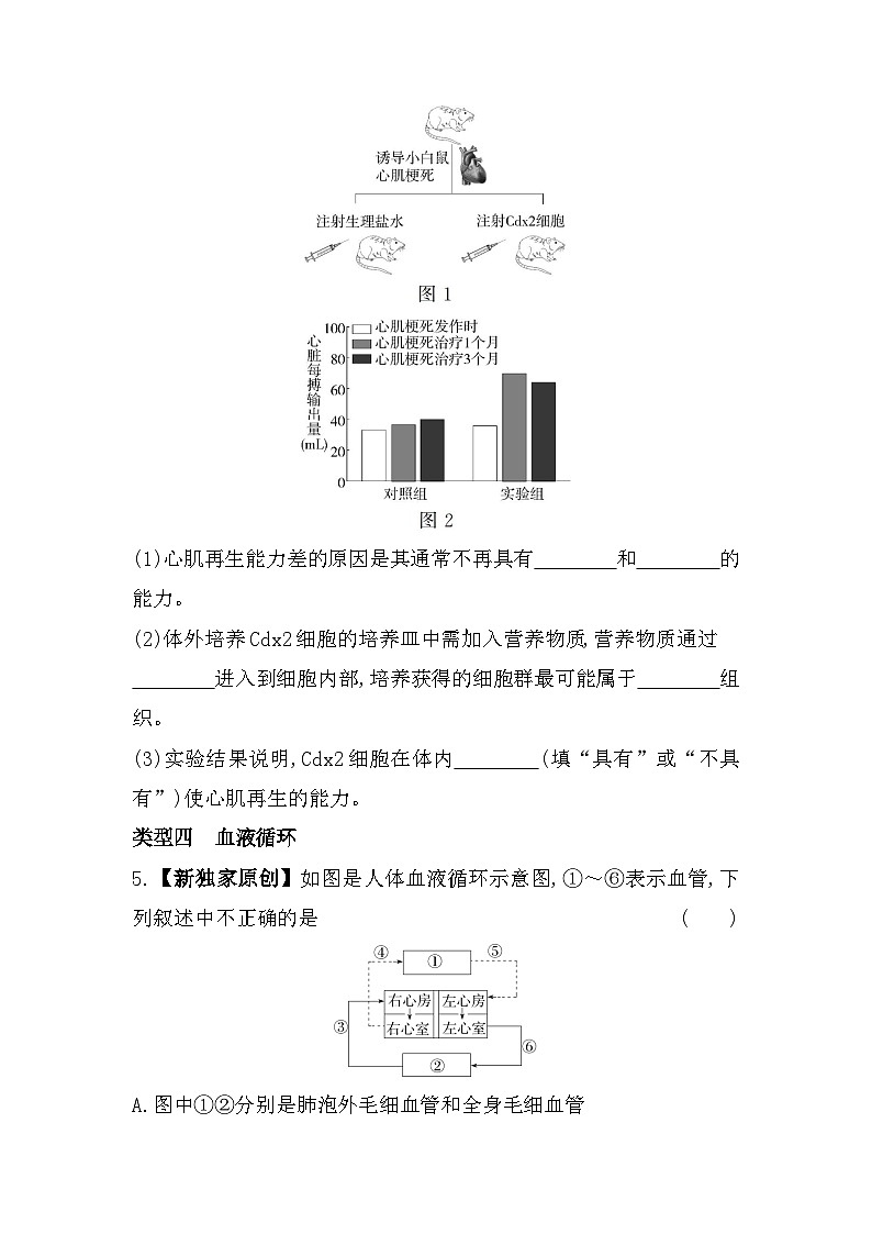 01-专项素养综合全练  人体内的物质运输--北京课改版初中生物七年级下册同步练习03