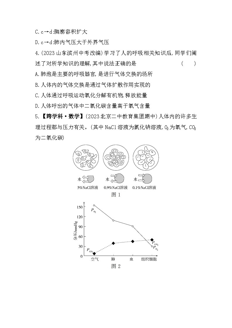 02-专项素养综合全练  生物的呼吸--北京课改版初中生物七年级下册同步练习02