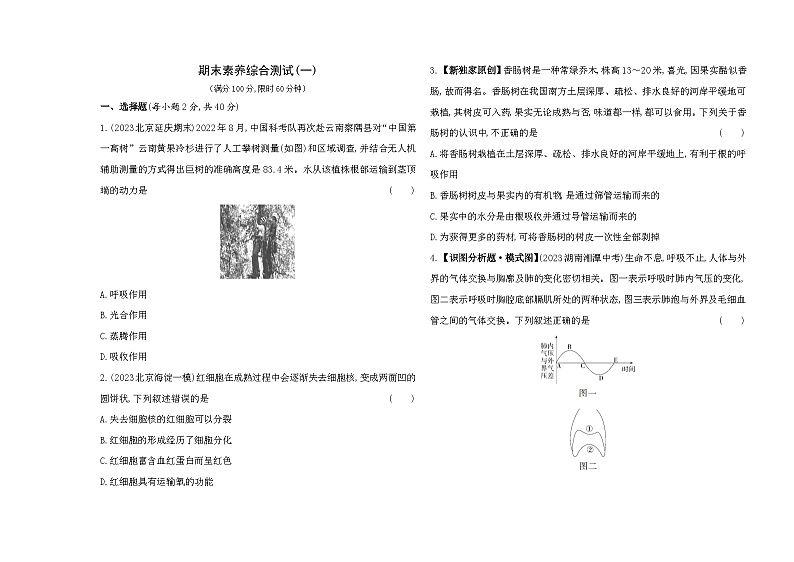 期末素养综合测试(一)--北京课改版初中生物七年级下册同步练习第1页