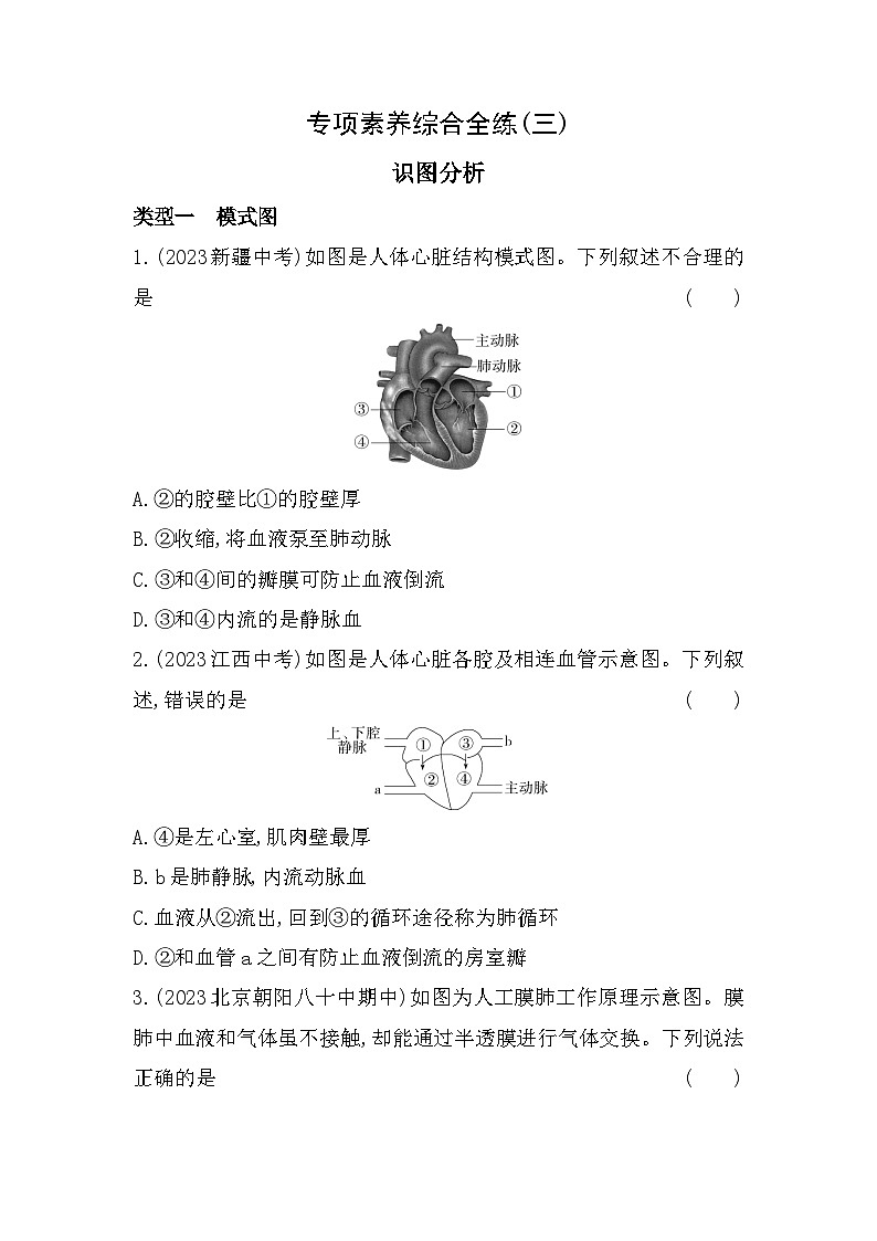 03-专项素养综合全练  识图分析--北京课改版初中生物七年级下册同步练习01