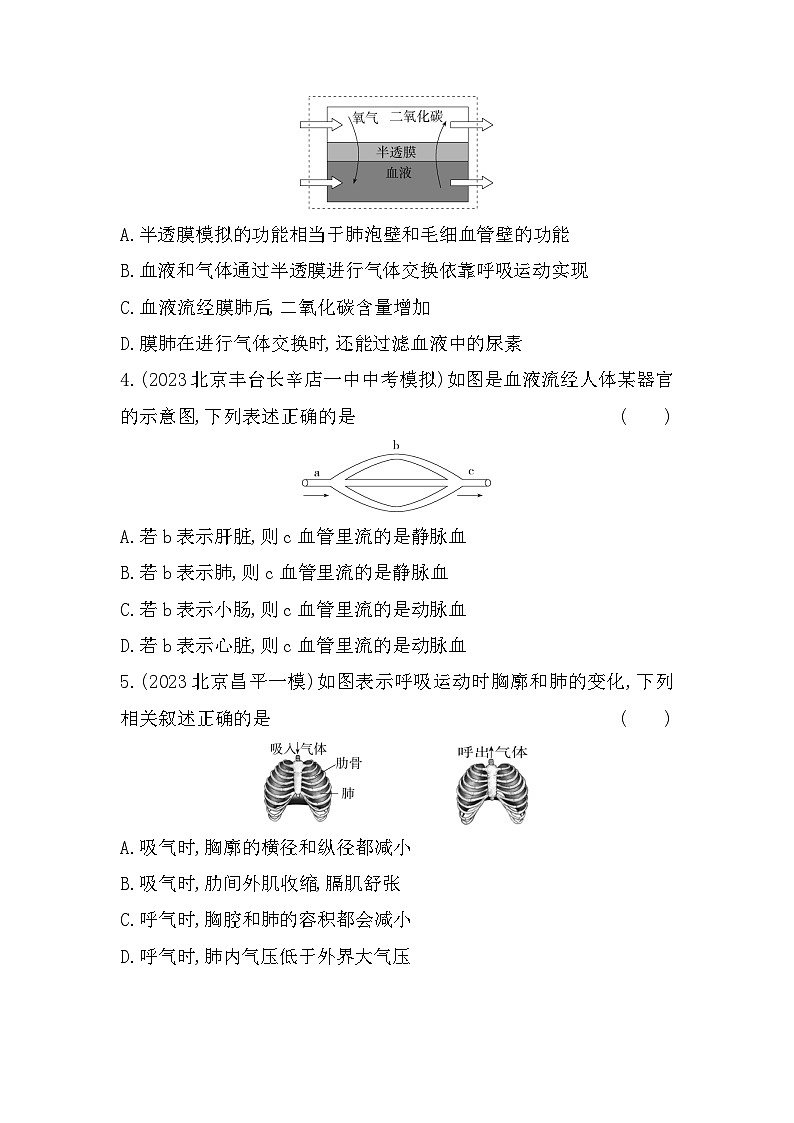 03-专项素养综合全练  识图分析--北京课改版初中生物七年级下册同步练习02