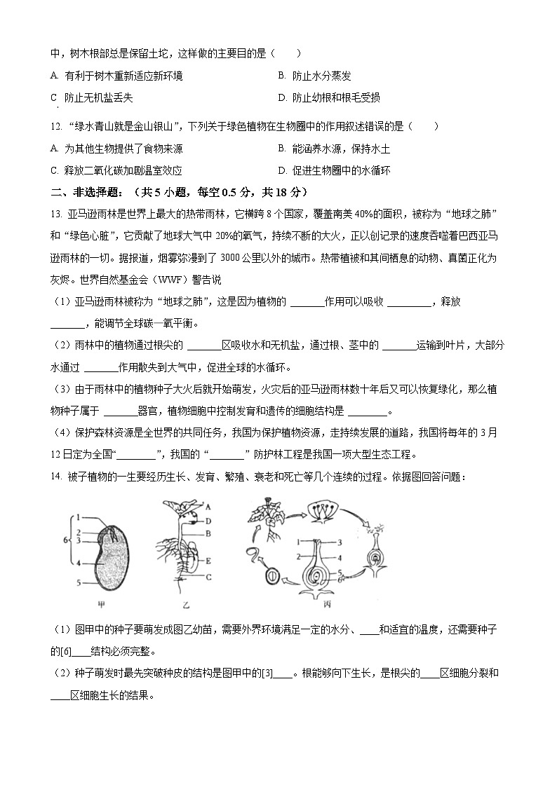 辽宁省抚顺市清原县2023-2024学年七年级上学期期末生物试题（原卷版+解析版）02