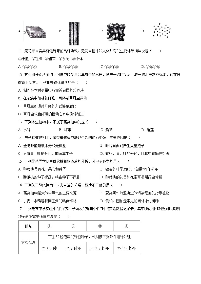 精品解析：陕西省咸阳市杨陵区2022-2023学年七年级上学期期末生物试题（原卷版）第3页