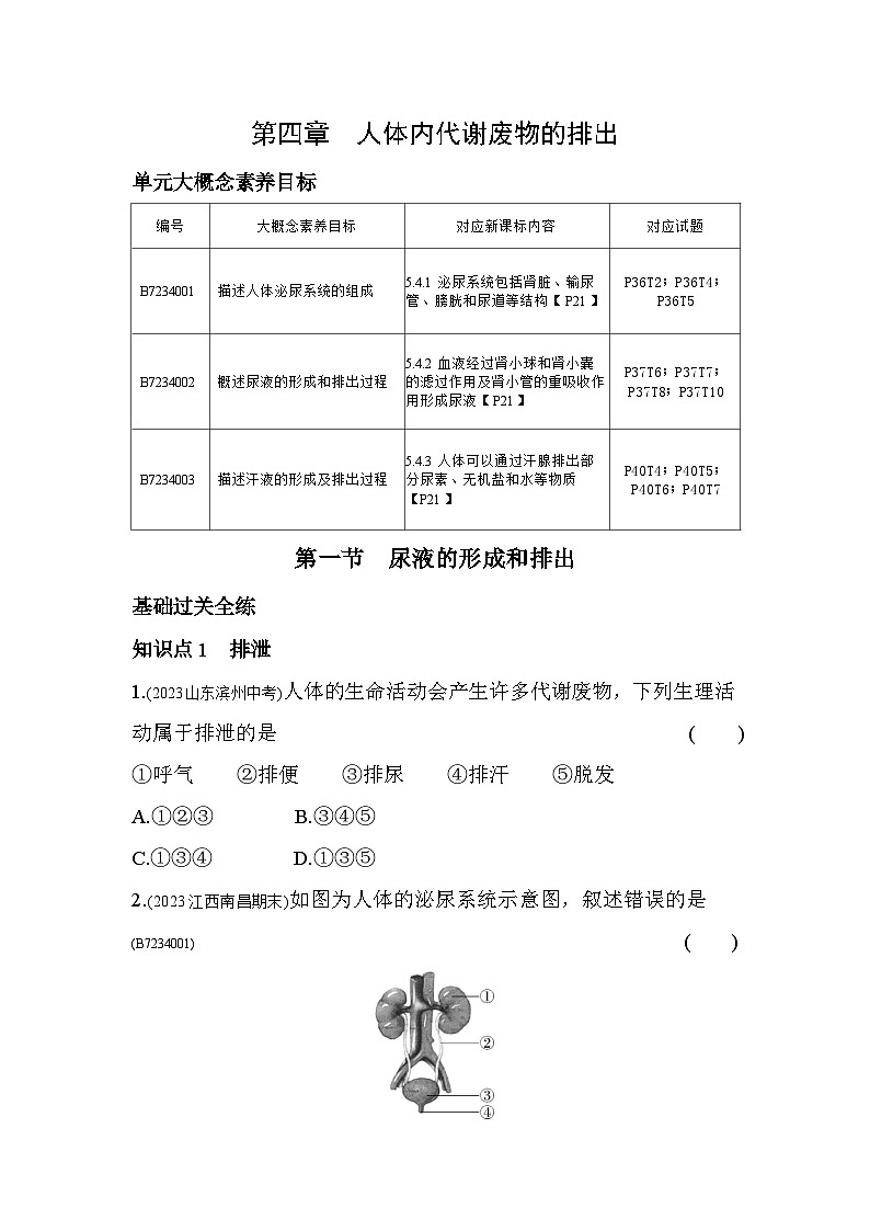 4.1　尿液的形成和排出--济南版初中生物七年级下册同步练习01