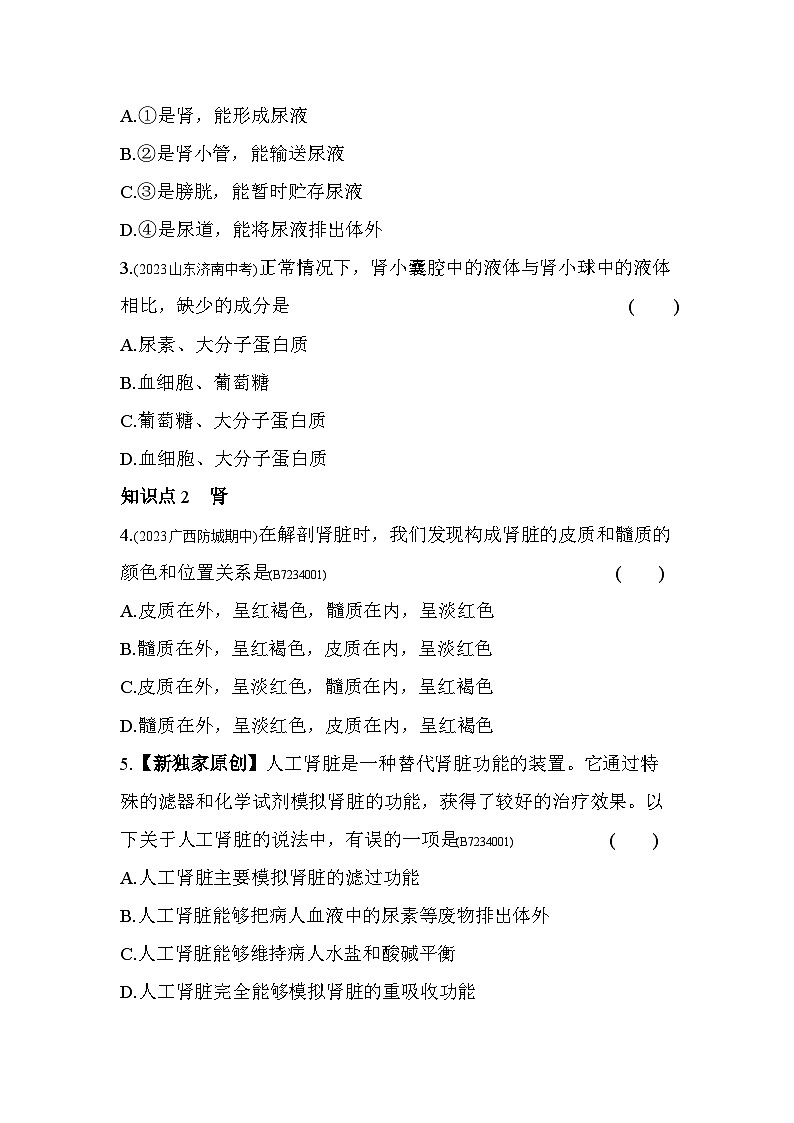 4.1　尿液的形成和排出--济南版初中生物七年级下册同步练习02