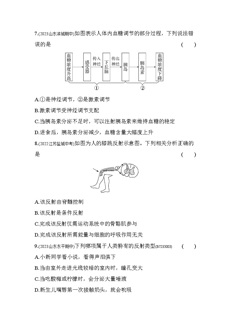 第五章　人体生命活动的调节综合检测--济南版初中生物七年级下册同步练习第3页