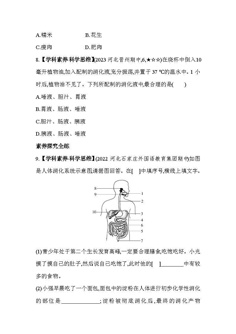 1.22  食物在胃肠内的消化--冀少版初中生物七年级下册同步练习03