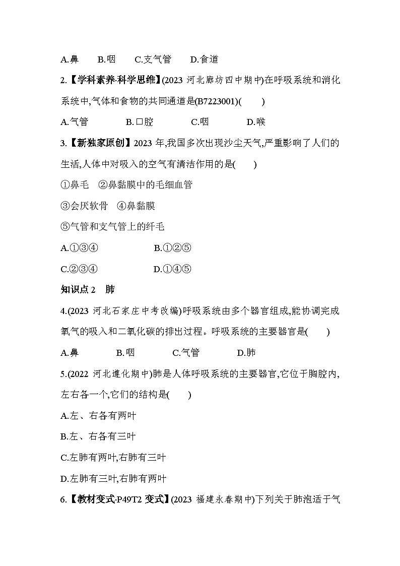 3.11  呼吸道和肺--冀少版初中生物七年级下册同步练习02