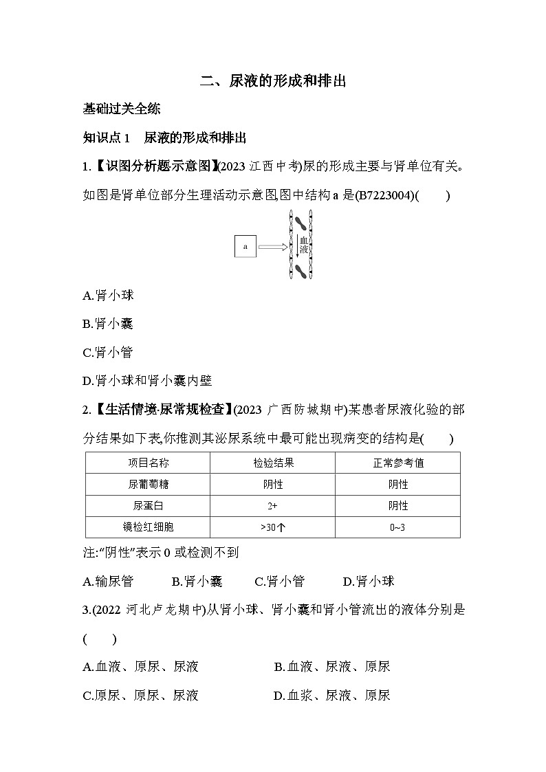 3.22  尿液的形成和排出--冀少版初中生物七年级下册同步练习第1页