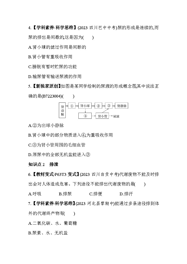 3.22  尿液的形成和排出--冀少版初中生物七年级下册同步练习第2页