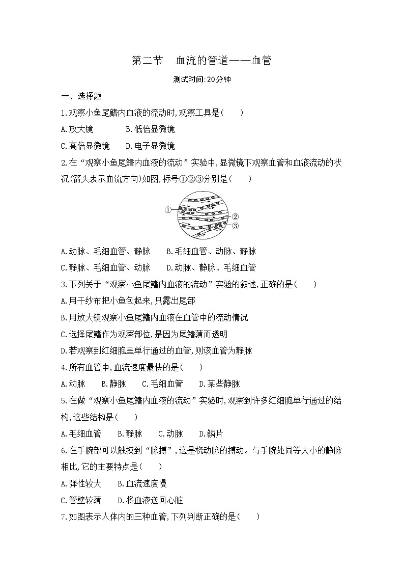 4.2  第二节   血流的管道——血管--人教版初中生物七年级下册课时检测卷01