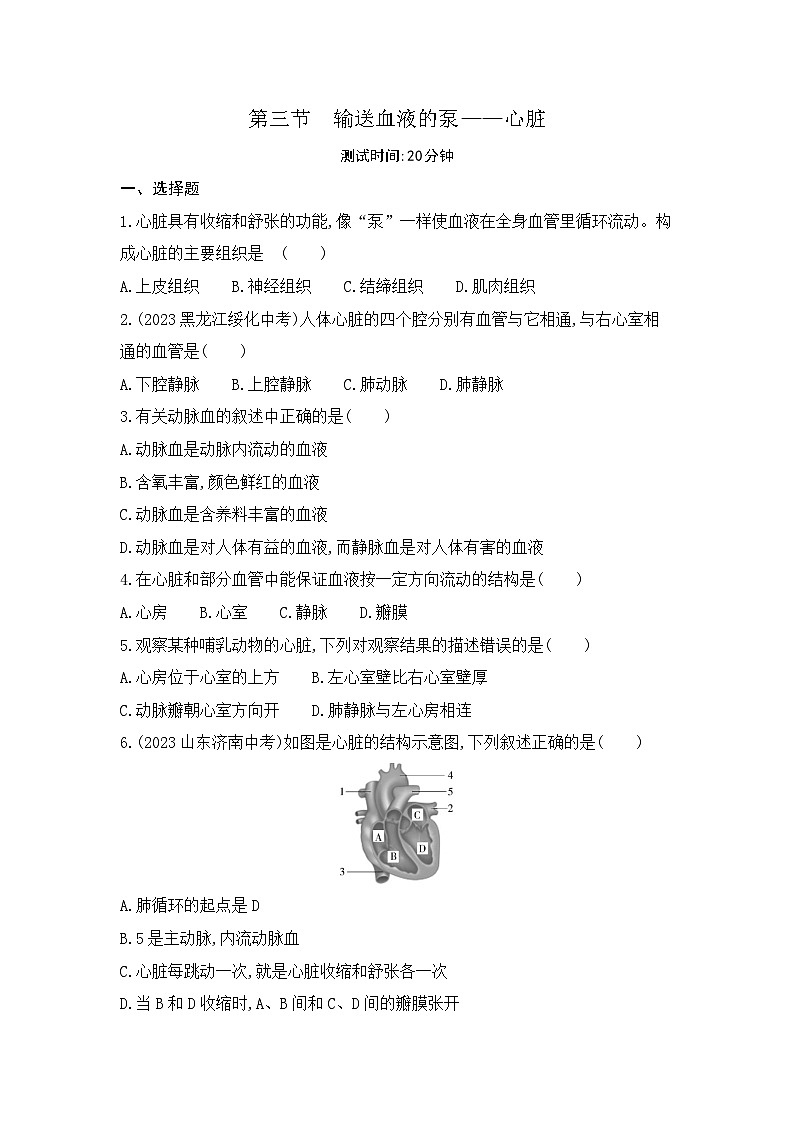 4.3  第三节   输送血液的泵——心脏--人教版初中生物七年级下册课时检测卷01