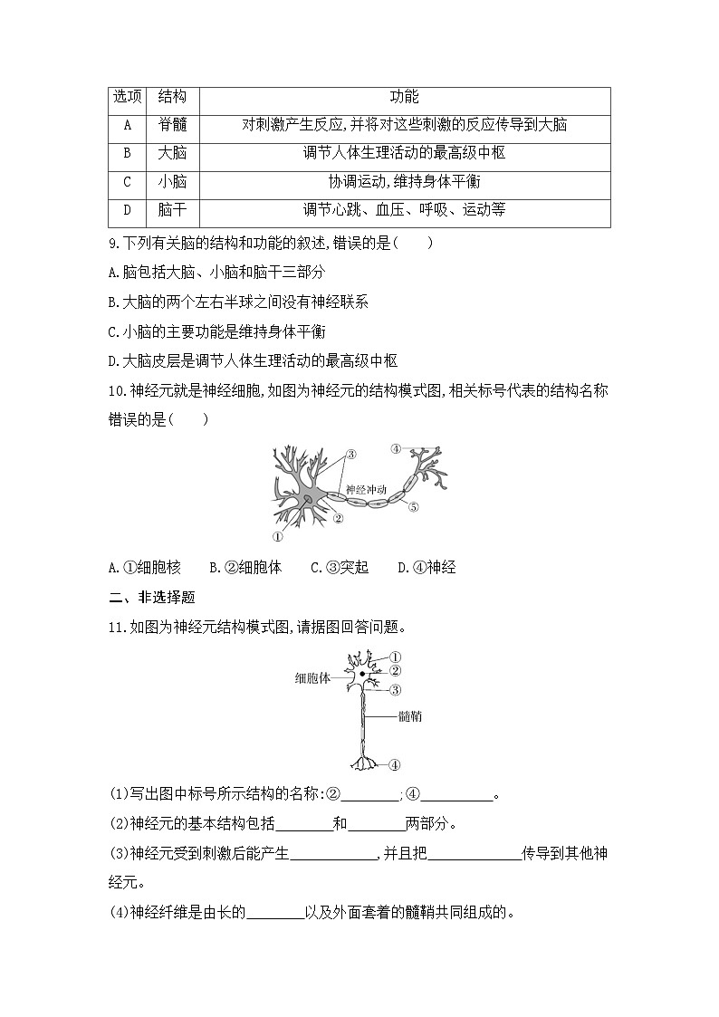 6.2  第二节   神经系统的组成--人教版初中生物七年级下册课时检测卷02